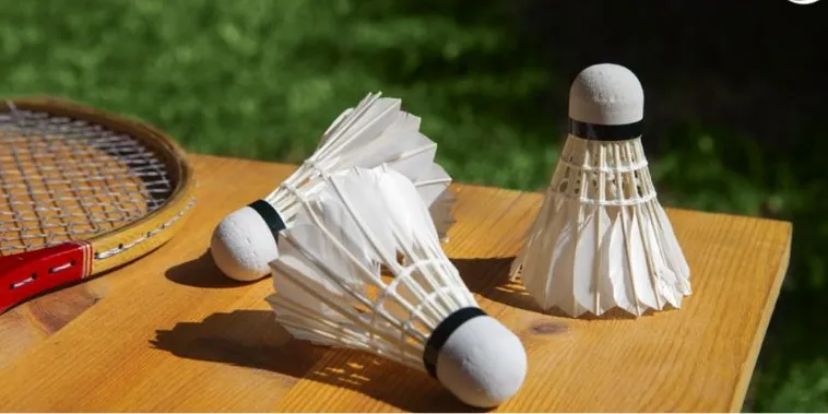 Nắm Bắt Kèo Cược Cầu Lông V9Bet Chiến Thắng Trong Tầm Tay Bạn 2 Nắm Bắt Kèo Cược Cầu Lông V9Bet Chiến Thắng Trong Tầm Tay Bạn