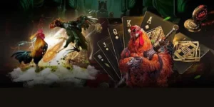 Làm Chủ Sảnh Đá Gà GA28 Tại V9Bet Chỉ Với Vài Bước Đơn Giản