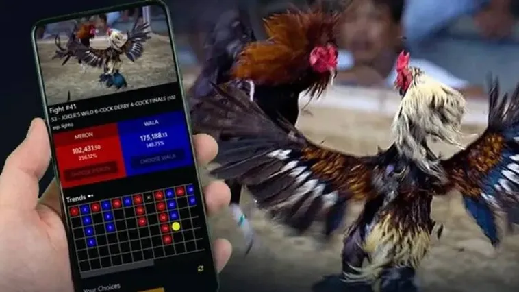 Đá Gà V9Bet Trải Nghiệm Đấu Trường Máu Lửa Nhận Thưởng Cực Lớn 1 Đá Gà V9Bet Trải Nghiệm Đấu Trường Máu Lửa Nhận Thưởng Cực Lớn